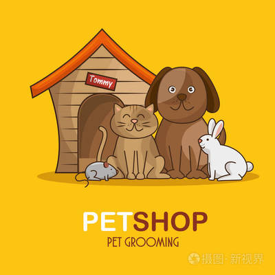 組動物寵物店 一站式專業(yè)寵物服務的溫馨港灣